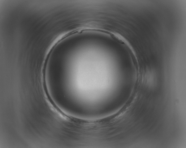 X0000053071341200507111208