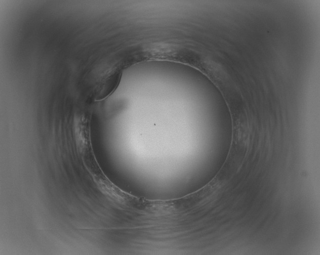 X0000053071346200507111207