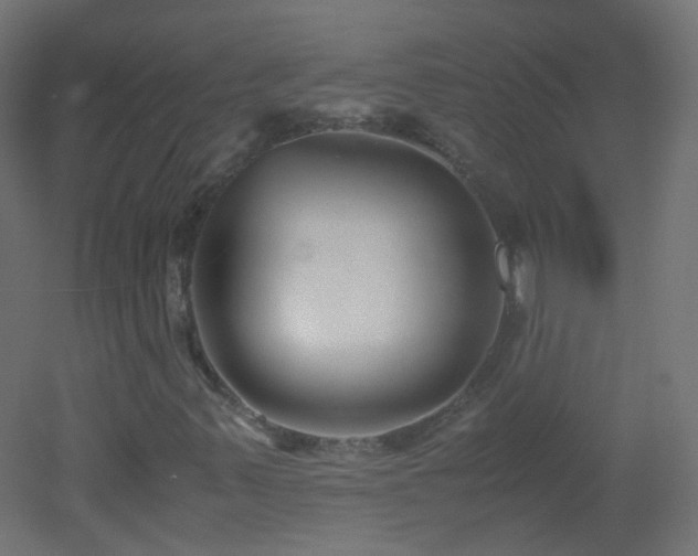 X0000053071347200507111207