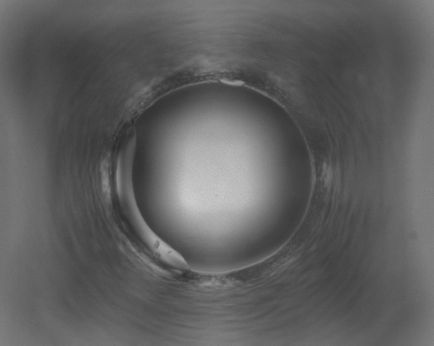 X0000053071348200507111207