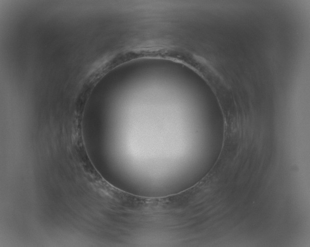 X0000053071350200507111207