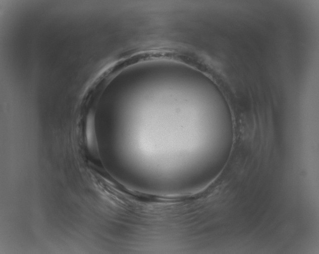 X0000053071352200507111207