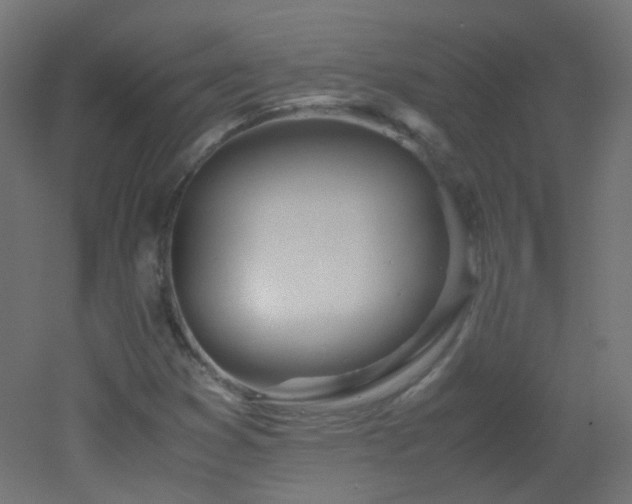 X0000053071353200507111207
