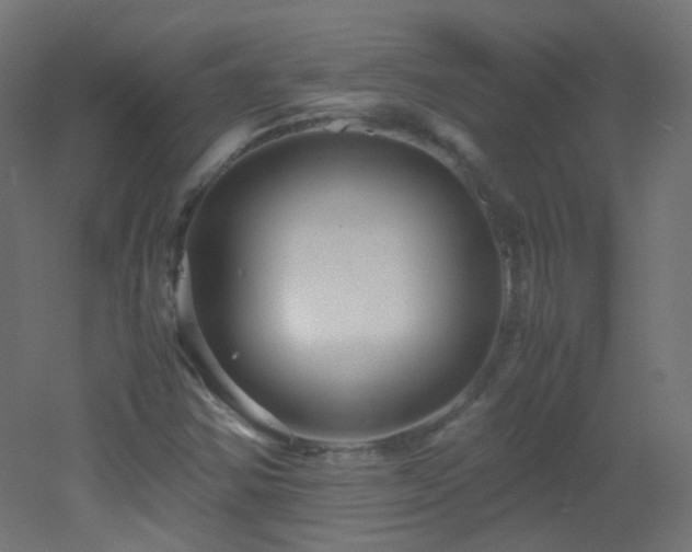 X0000053071354200507111207