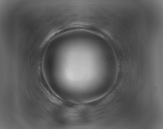 X0000053071355200507111207