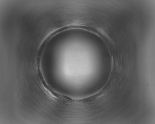 X0000053071356200507111207