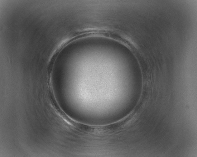 X0000053071357200507111207