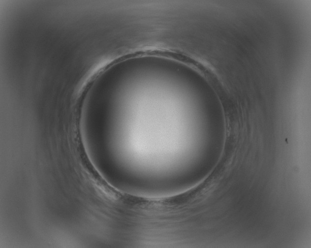 X0000053071359200507111207