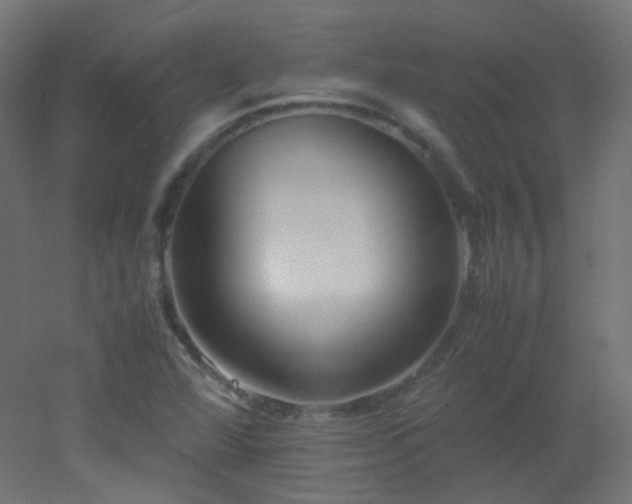 X0000053071360200507111207