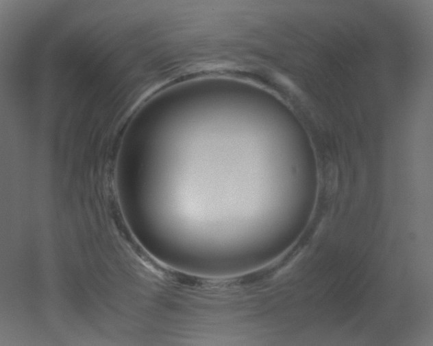 X0000053071361200507111207