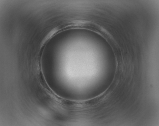 X0000053071362200507111207
