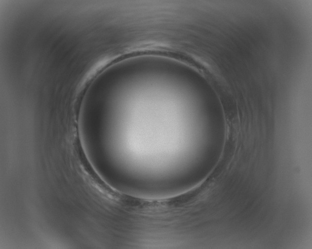 X0000053071363200507111207