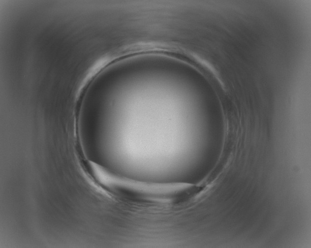 X0000053071365200507111207