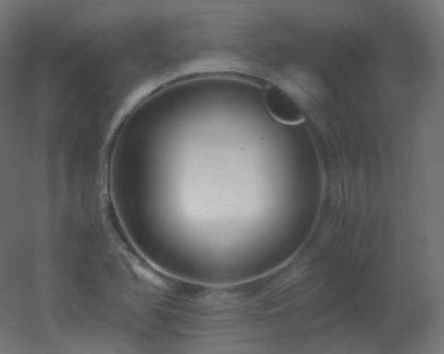 X0000053071366200507111207