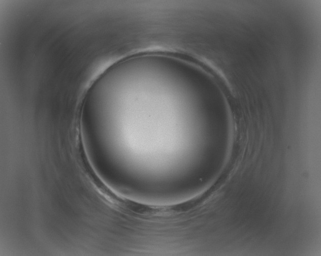 X0000053071367200507111207