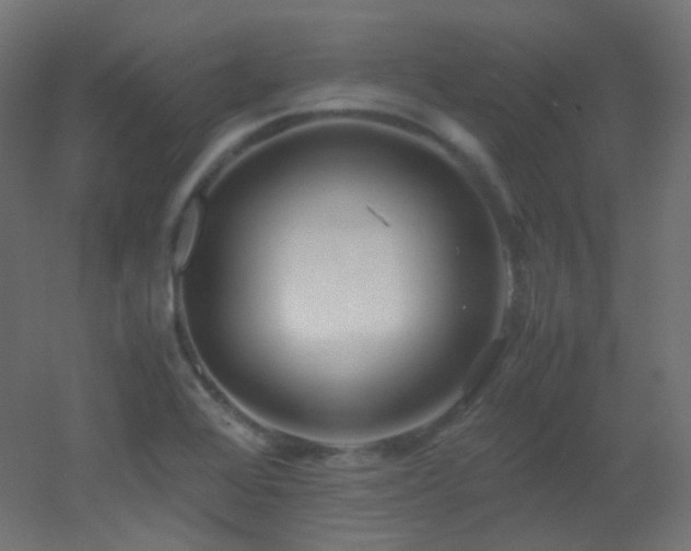 X0000053071368200507111207