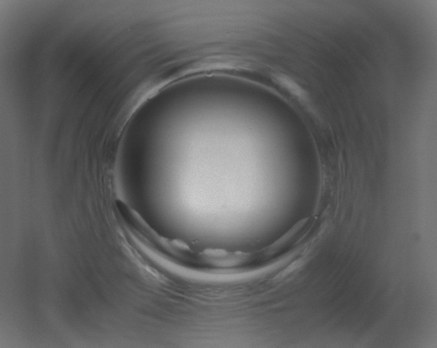 X0000053071369200507111207