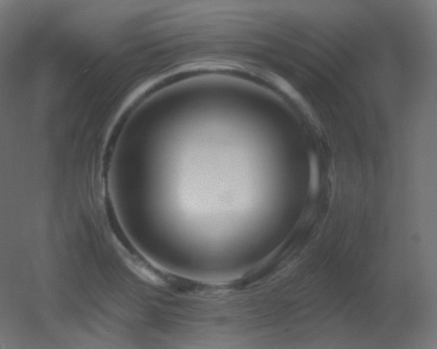 X0000053071372200507111207