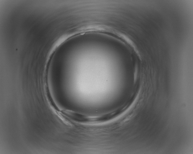X0000053071373200507111207