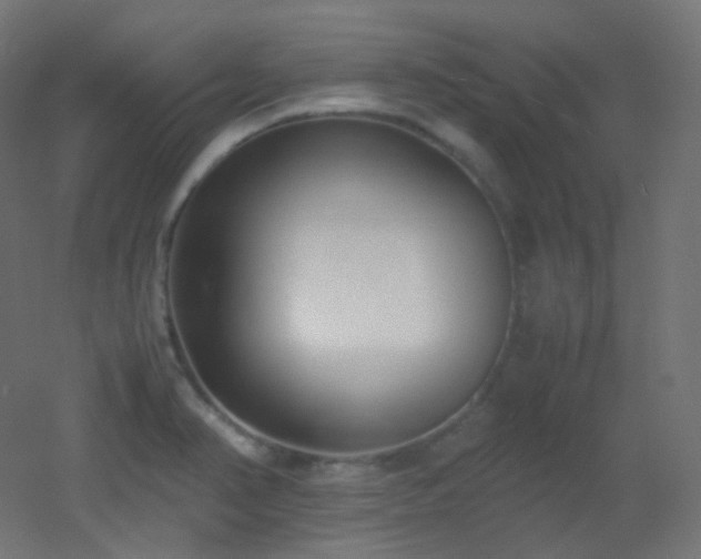 X0000053071374200507111207