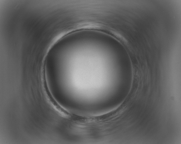 X0000053071375200507111207
