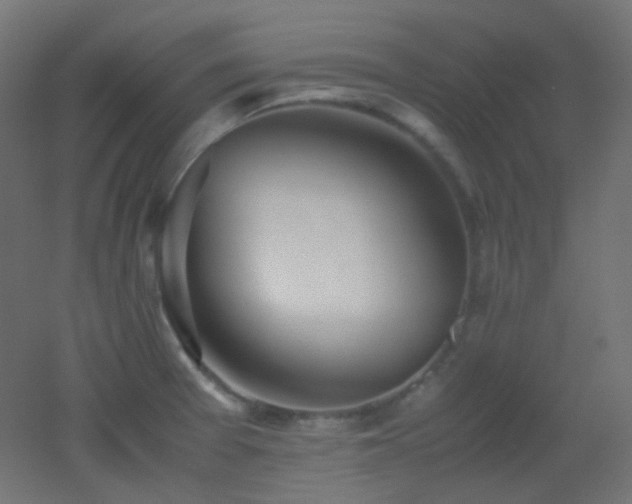 X0000053071377200507111207