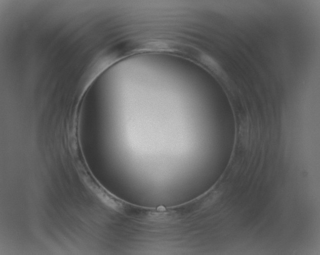 X0000053071378200507111207