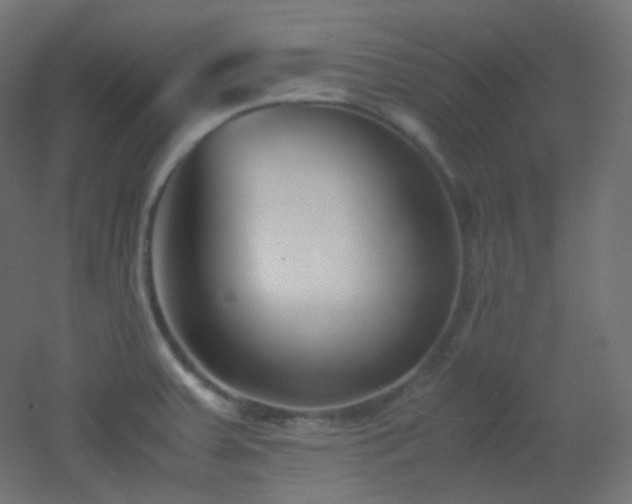 X0000053071379200507111207