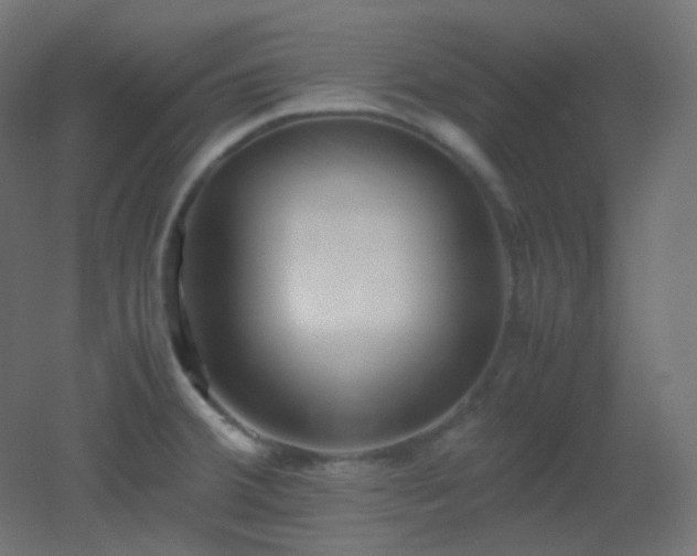 X0000053071380200507111207
