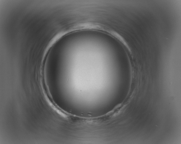 X0000053071381200507111207