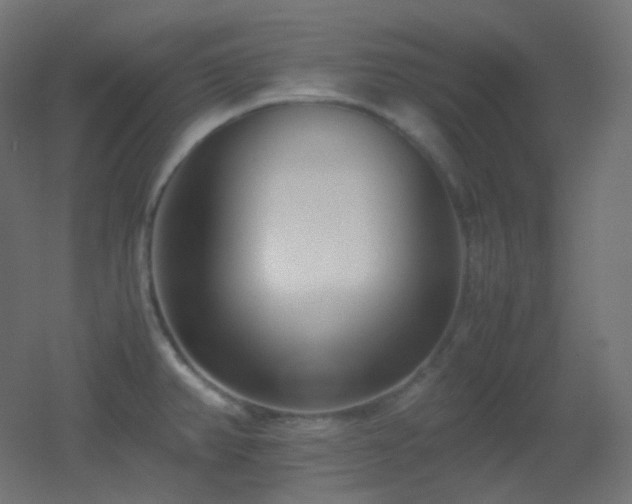 X0000053071382200507111207