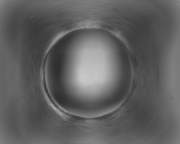 X0000053071383200507111207