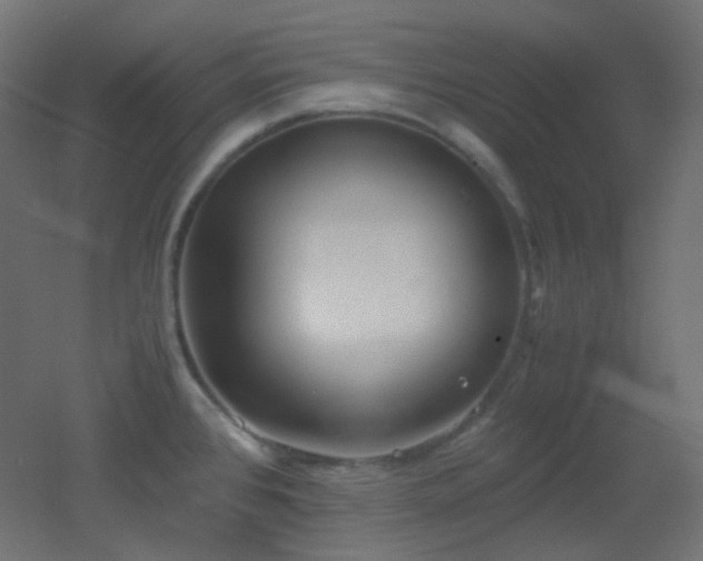 X0000053071384200507111207