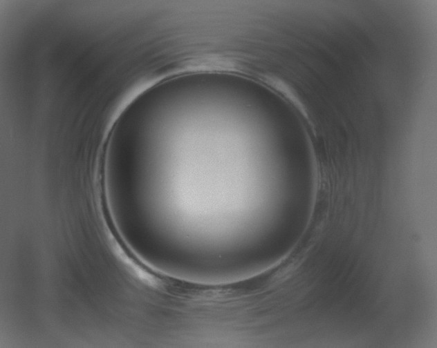 X0000053071387200507111207