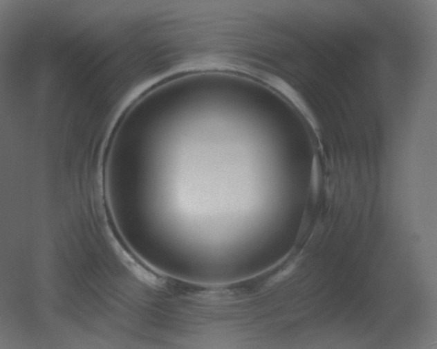 X0000053071388200507111207