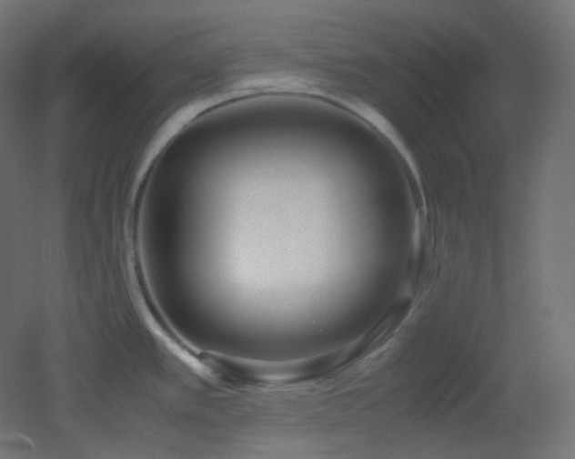 X0000053071389200507111207