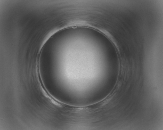 X0000053071390200507111207