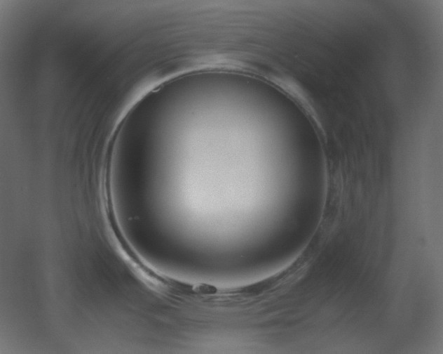 X0000053071391200507111207