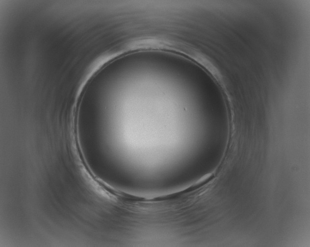 X0000053071392200507111207
