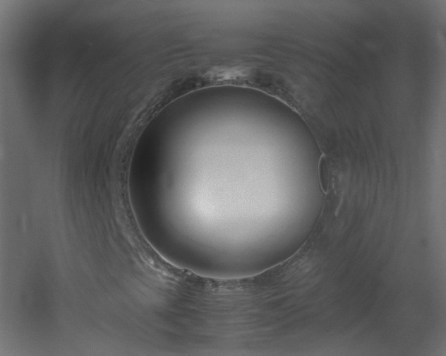 X0000053071393200507111206