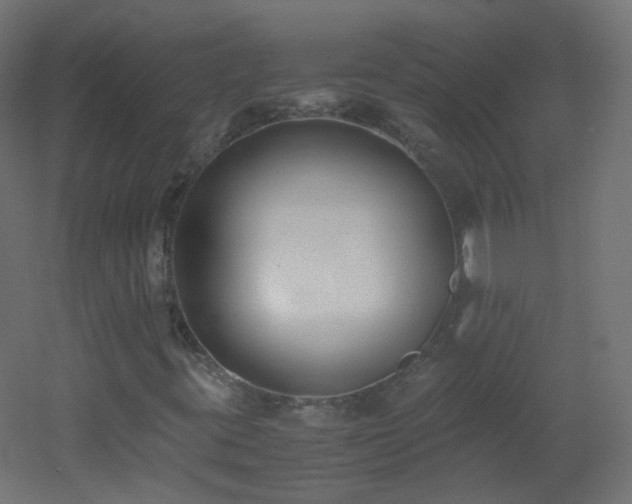 X0000053071395200507111206
