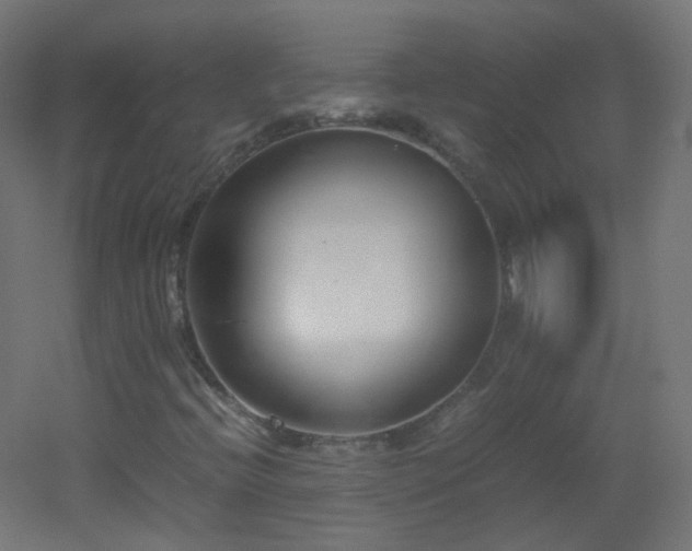 X0000053071396200507111206