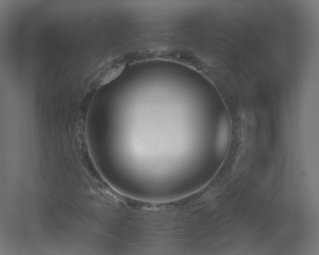 X0000053071397200507111206