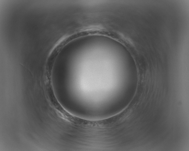 X0000053071400200507111206