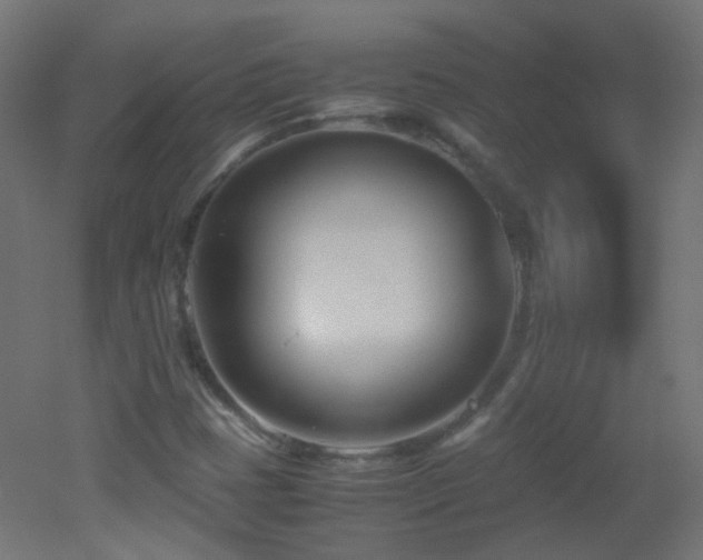 X0000053071401200507111206