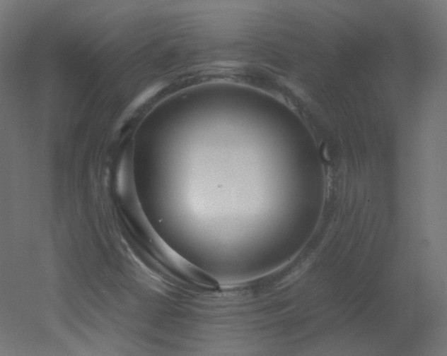 X0000053071402200507111206