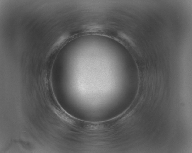 X0000053071403200507111206