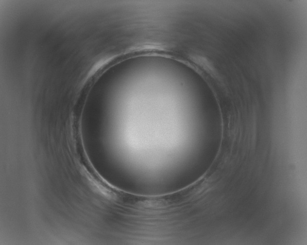 X0000053071404200507111206