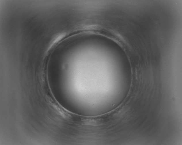 X0000053071405200507111206