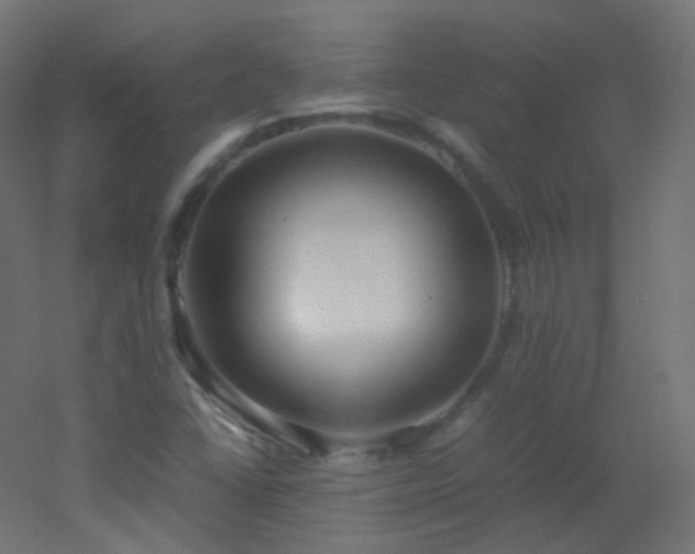 X0000053071406200507111206